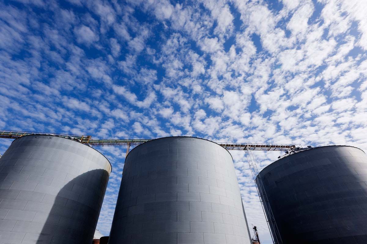 Por qué Industrial Shields-Mantén la seguridad de tu cosecha - Caso de Estudio Por qué Industrial Shields-Mantén la seguridad de tu cosecha - Caso de Estudio